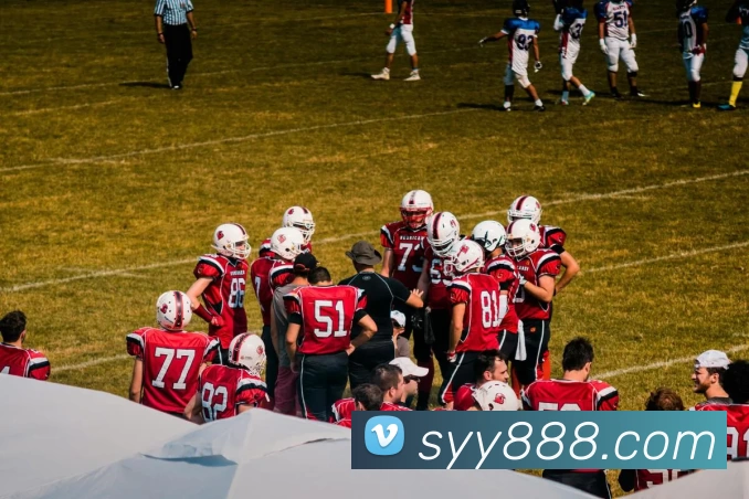 双赢彩票官网APP 封面图